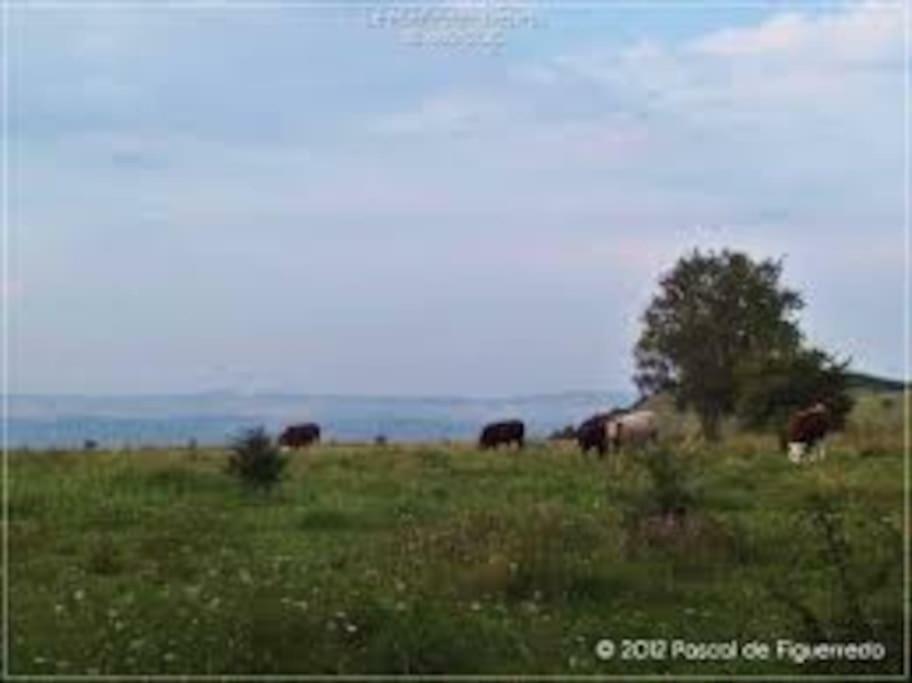 La Ferme Des Pierrettes Βίλα Menneville Εξωτερικό φωτογραφία
